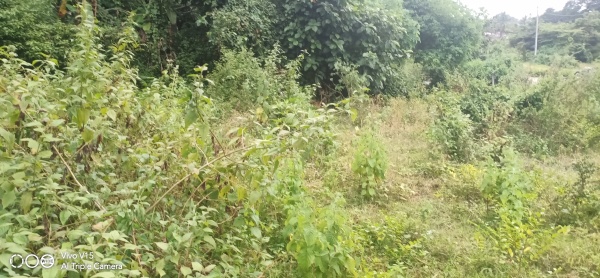 Tolet Care Property Image