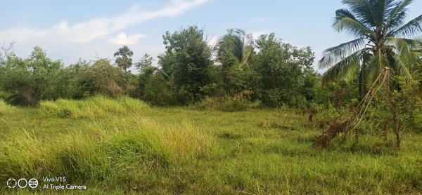 Tolet Care Property Image